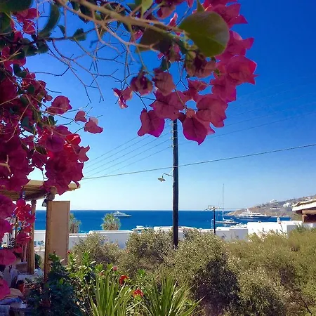 Manos * Platísz Jalósz