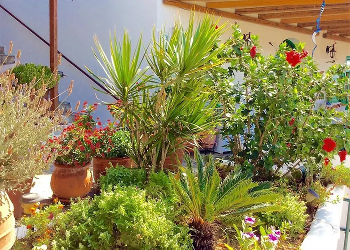 Manos Apartment Platys Gialos (Mykonos)